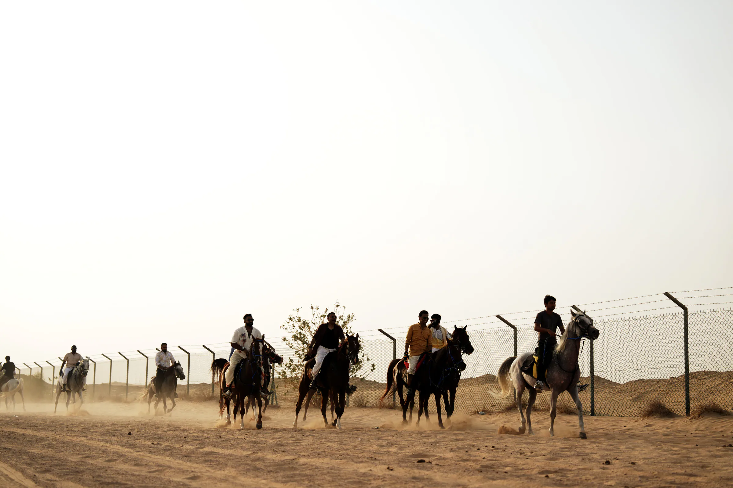 Riders cantering along the desert fence line as dust rises